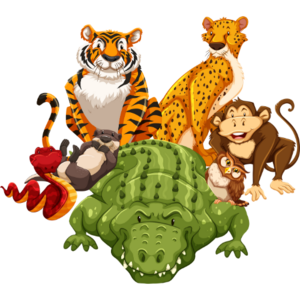Animals